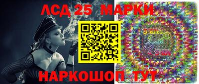 spice Свободный