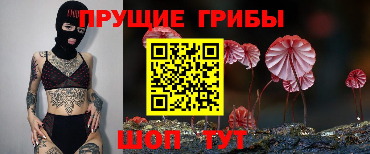 Галлюциногенные грибы мицелий Новочебоксарск