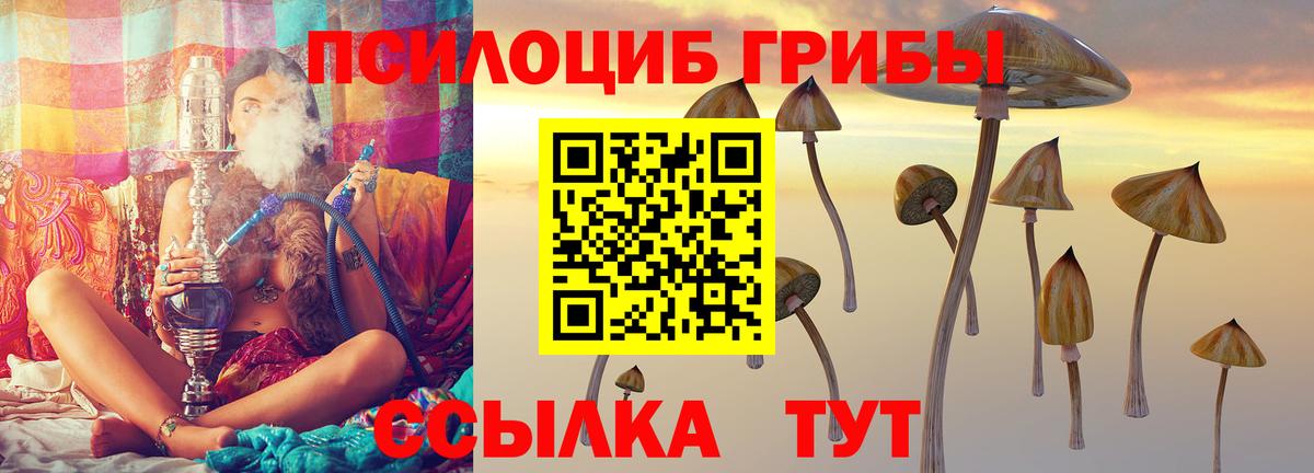 Новочебоксарск  Псилоцибиновые грибы прущие грибы  Вход с VPN 